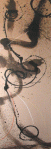 web-2da-009