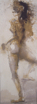 web-2da-013