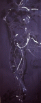 web-2da-016
