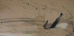 web-2da-017